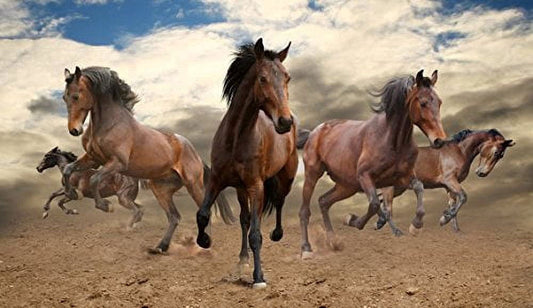 Herd of Horses Edible Image Icing Cake Topper for Quarter Sheet Cake, by TNCT