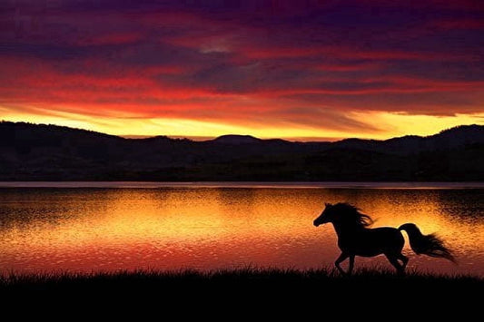 Horse at Sunset Edible Image Icing Cake Topper for Quarter Sheet Cake, by TNCT