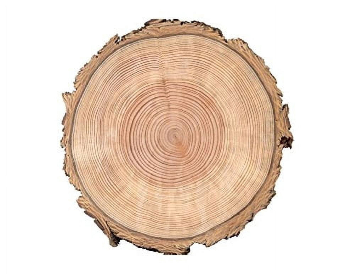 Wood Tree Rings Edible Image Icing Cake Topper for Quarter Sheet Cake, by TNCT