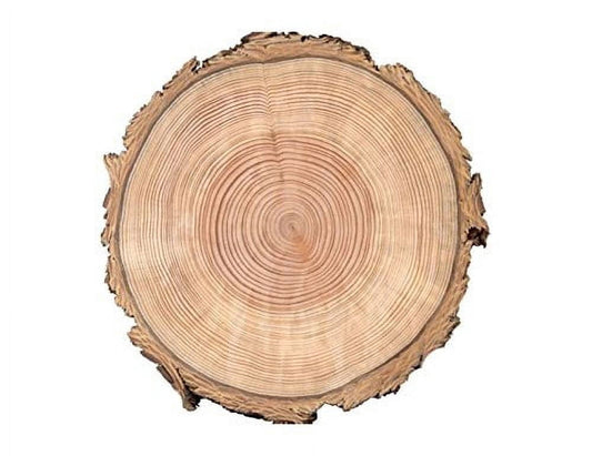 Wood Tree Rings Edible Image Icing Cake Topper for Quarter Sheet Cake, by TNCT