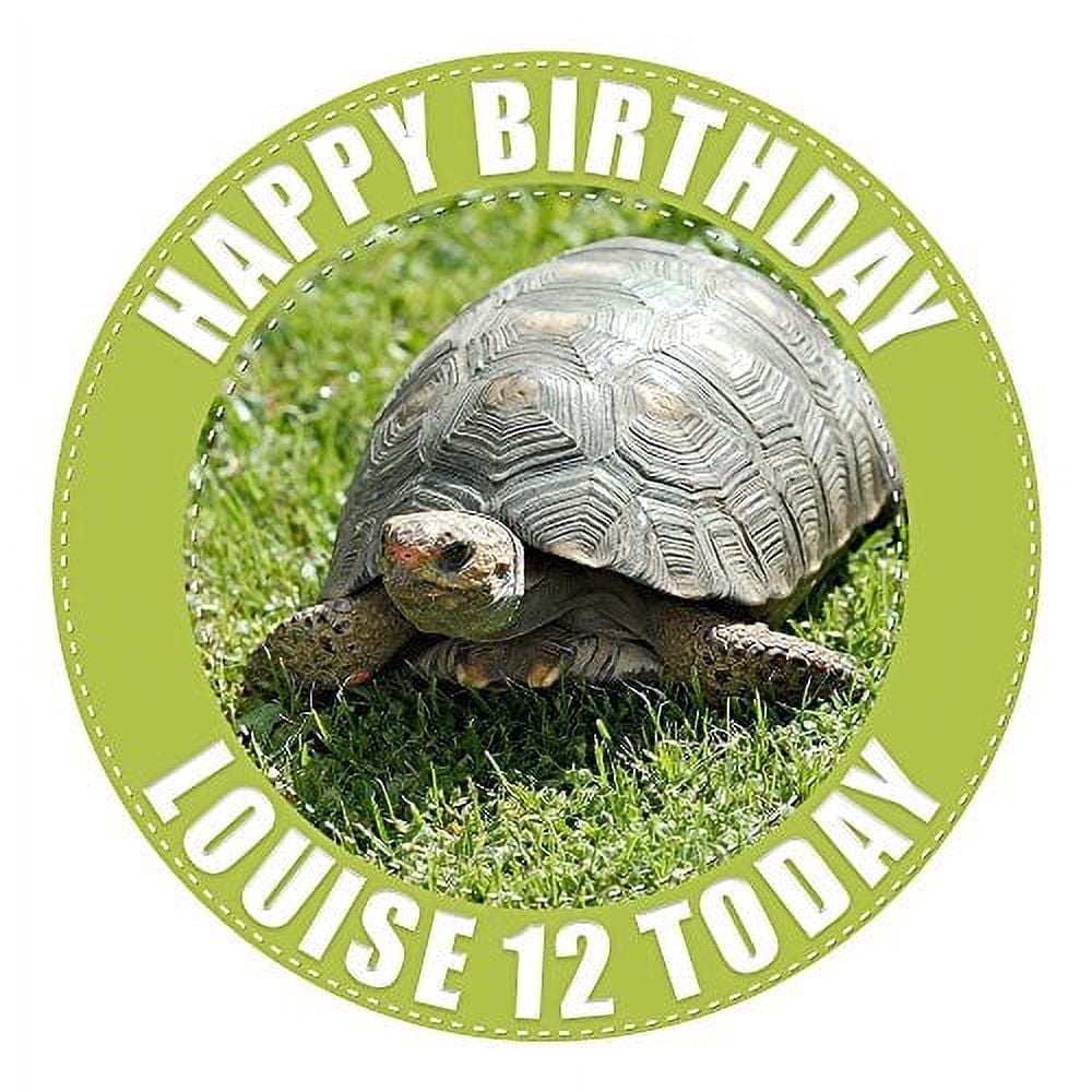 Tortoise Edible Icing Image Cake Topper, by Tnct.