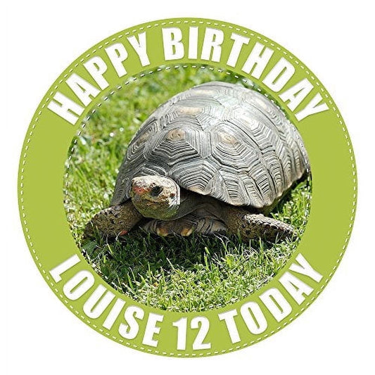 Tortoise Edible Icing Image Cake Topper, by Tnct.