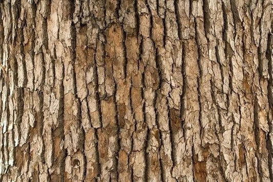 Tree Bark Edible Icing Image Cake Topper, by Tnct.