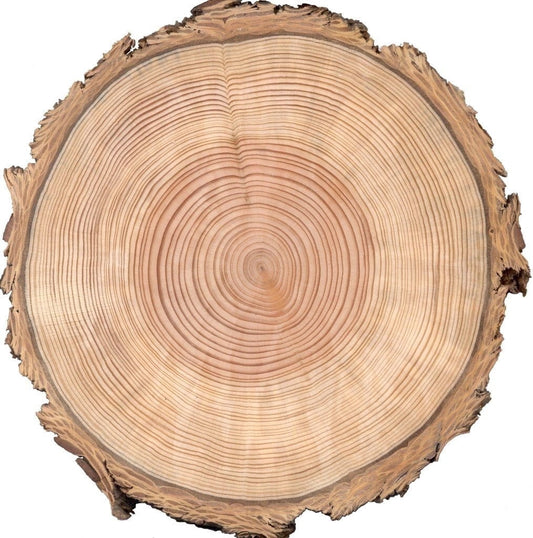 7.5" Pre-Cut Round Wood Tree Ring Edible Image Cake Topper, by Tnct. (1 Count)