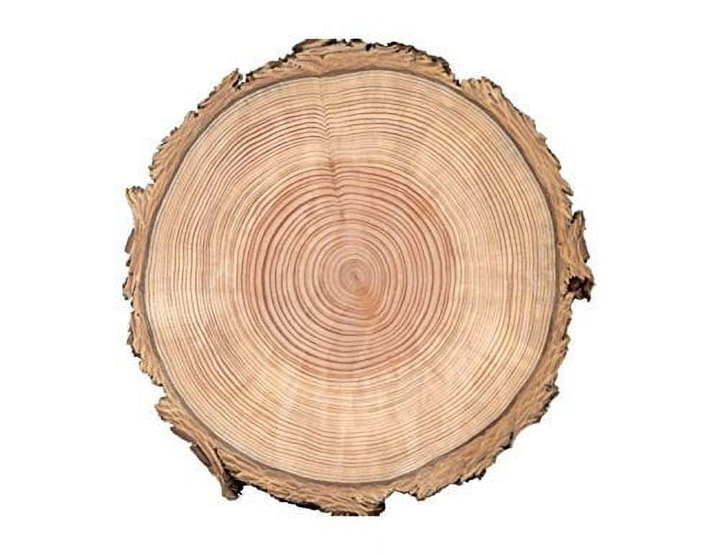 TNCT's Wood Tree Rings Edible Icing Image Cake Topper-1/4 Sheet or Larger