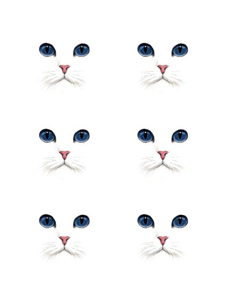 3" Round Pre-Cut Cat Face Edible Image Cupcake Or Cookie Toppers!