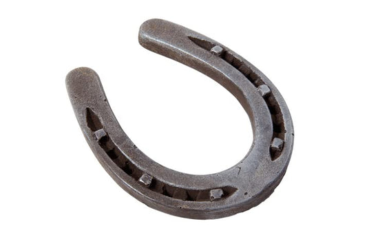 Horseshoe Edible Image For Your Half Sheet Cake By TNCT!