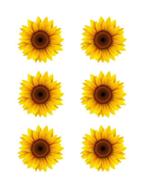 3" Round Pre-Cut Sunflower Edible Images For Your Cupcakes!