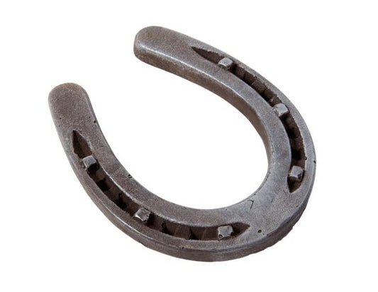 Horseshoe Edible Image For Your Quarter Sheet Cake By TNCT!