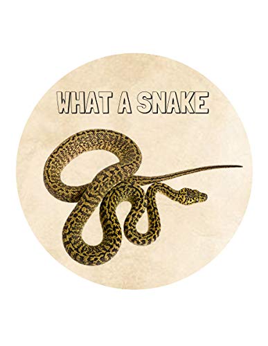 Snake Design Edible Image Cupcake Toppers For 2 Inch Cupcakes Or Cookies!