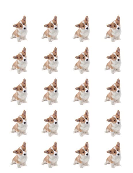 1.875" Round Pre-Cut Cute Corgi Edible Images For Your Cupcakes By TNCT!