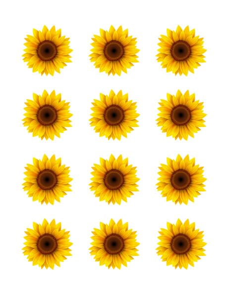 Sunflower Edible Image Cupcake Toppers For 2" Cupcakes Or Cookies!