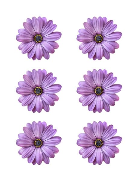 3" Round Pre-Cut Flower Edible Images For Your Cupcakes!