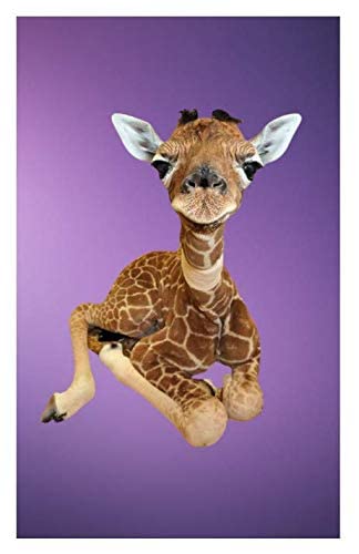 Baby Giraffe Purple Custom Edible Image For Half Sheet Cake!