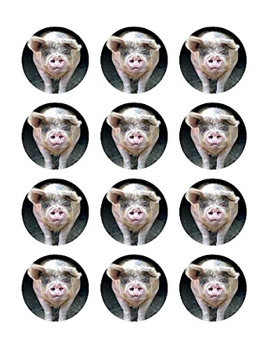 2" Pre-Cut Round Pig Edible Images For Your Cupcakes!