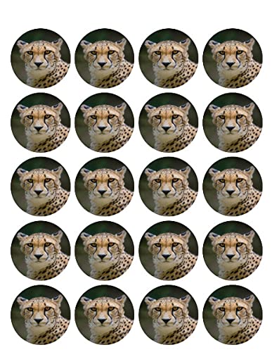 1.875" Pre-Cut Round Cheetah Design Edible Image Cupcake Toppers!