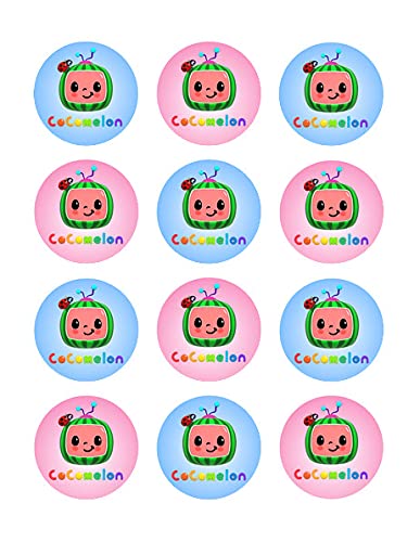 Pink & Blue Watermelon Design By TNCT Edible Image Cupcake Toppers For 2 Inch Cupcakes Or Cookies!