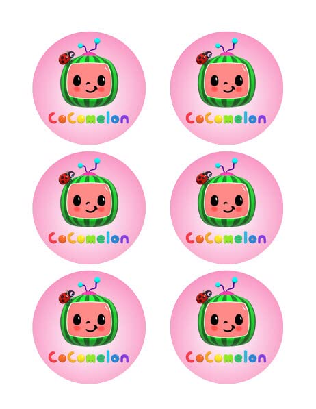 3 Inch Round Pre-Cut Pink Watermelon Design Edible Image Cupcake Toppers!