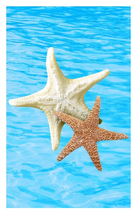 Starfish Design Edible Image Cake Topper For Your Half Sheet Cake By TNCT!